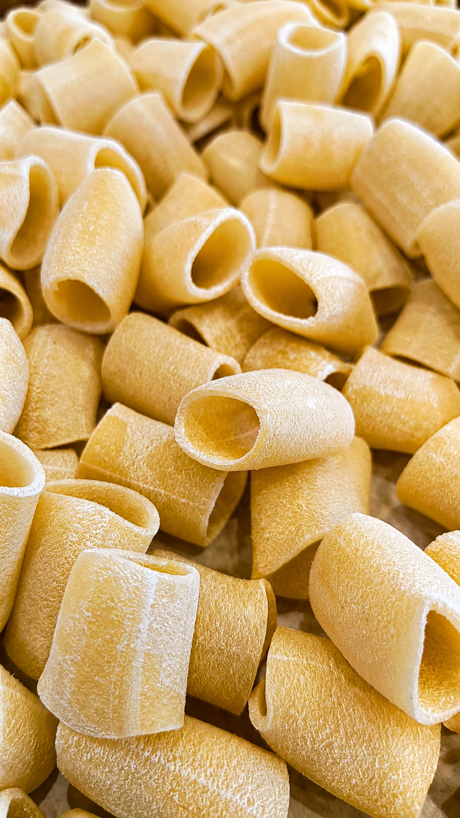 Paccheri di pasta secca artigianale trafilata al bronzo — I Rebbi Roma